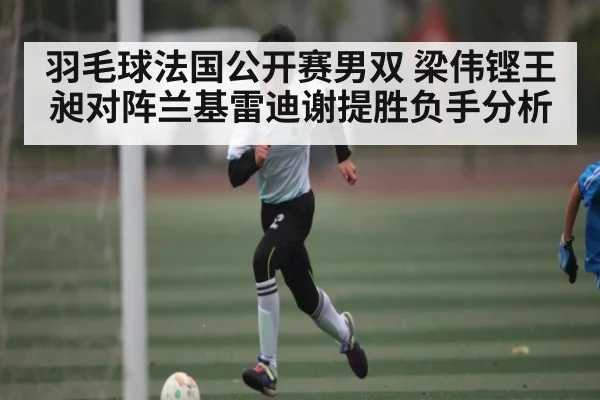 羽毛球法国公开赛男双 梁伟铿王昶对阵兰基雷迪谢提胜负手分析